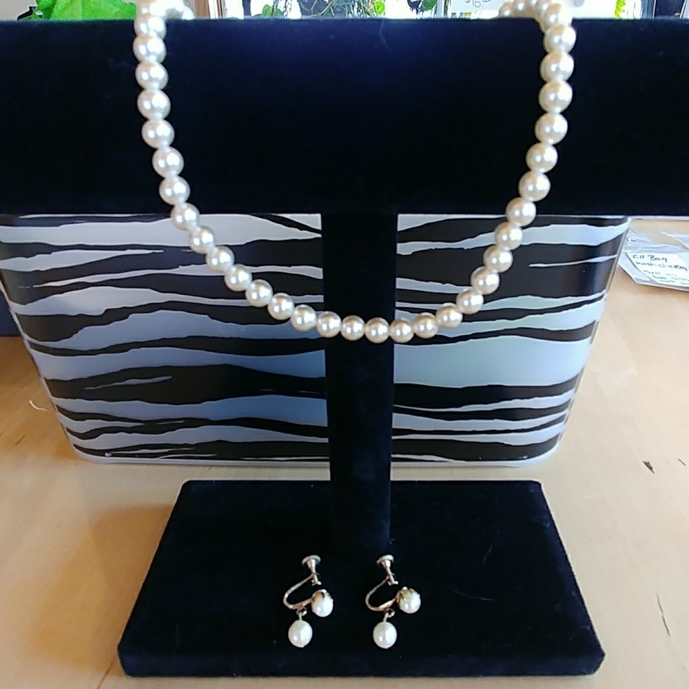 Necklace and earring set